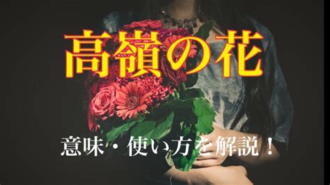 高嶺の花とはどんな人|「高嶺の花」の特徴8選。男性が思う手の届かない女。